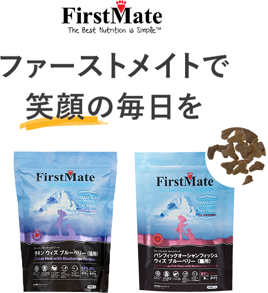 ファーストメイトで笑顔の毎日を